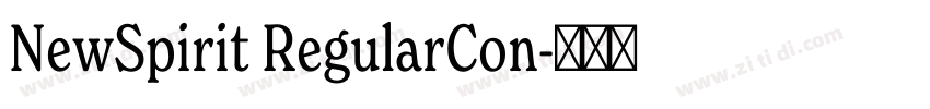 NewSpirit RegularCon字体转换